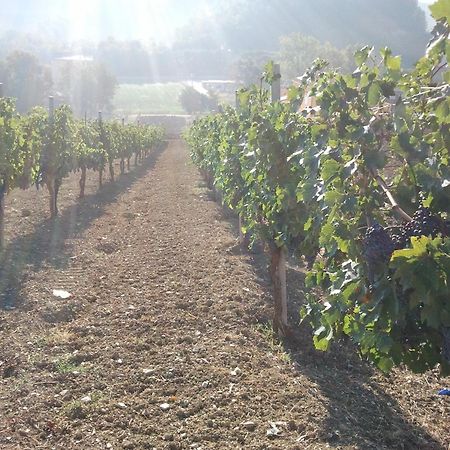 Agriturismo San Vito Crocemaroggia Bagian luar foto