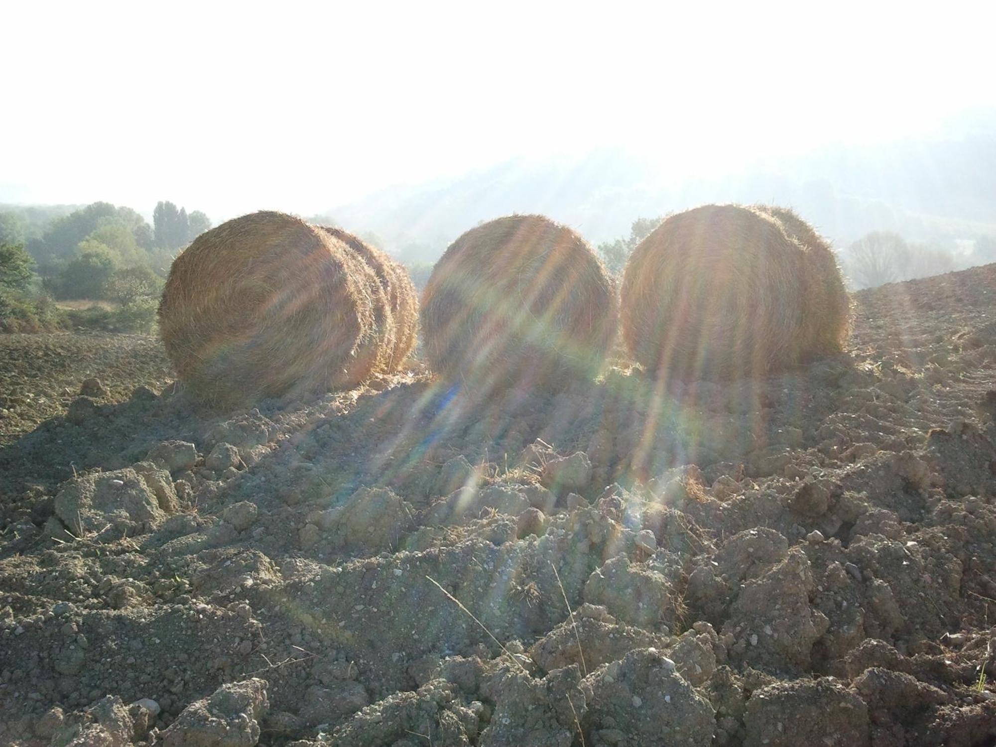 Agriturismo San Vito Crocemaroggia Bagian luar foto
